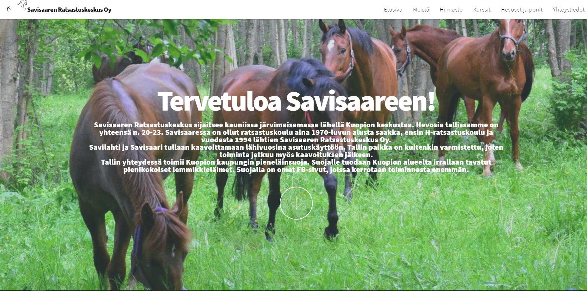 Savisaaren ratsastuskeskus kuva